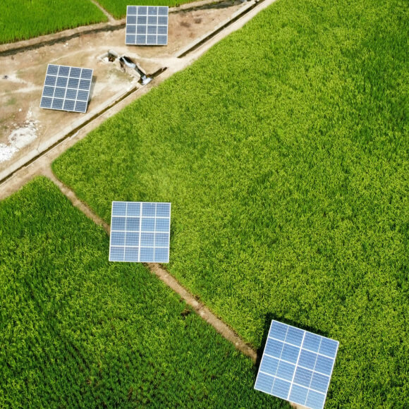 sustainability