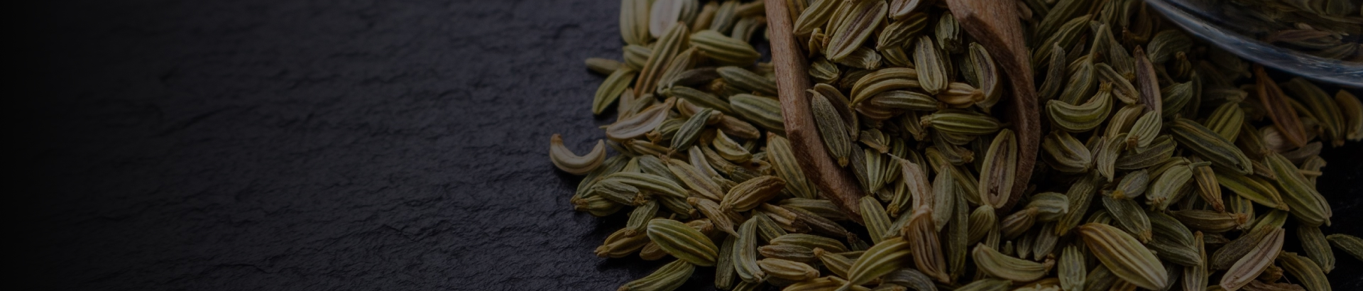 fennelseeds