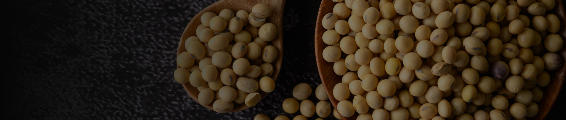 Soyabean