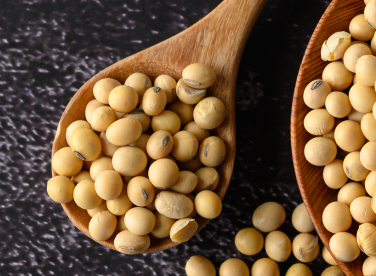 Soyabean