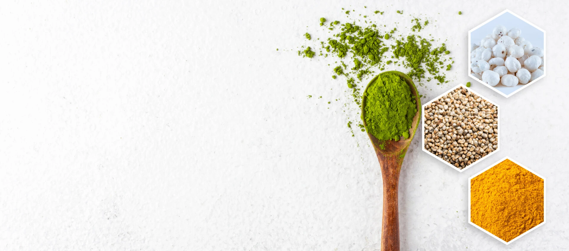 Organic superfood exporter from India – moringa, makhana, turmeric