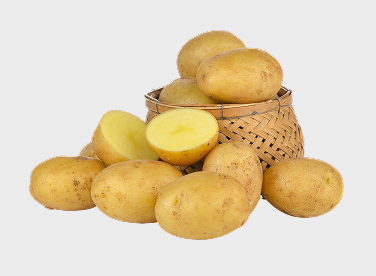 Potato exporter in india