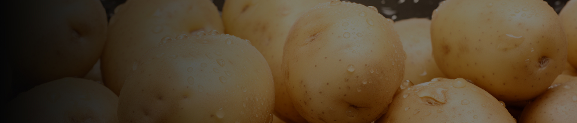 Potato Exporter in India