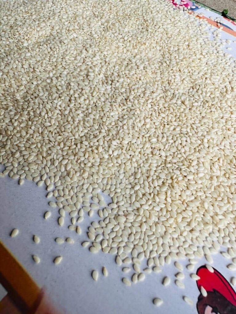 hulled sesame seeds exporters for Greek tahini manufacturers