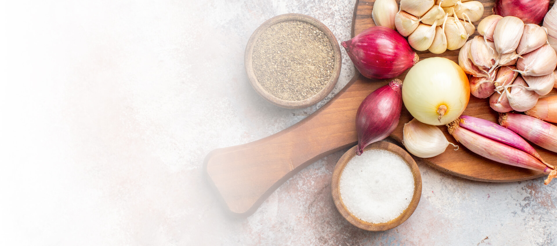 Dehydrated onion and garlic exporter from India – Aarvi Group