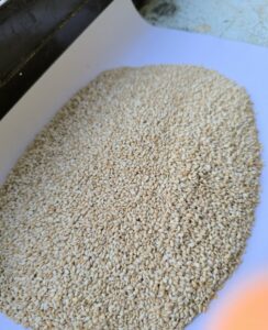 black and white sesame seeds comparison for exporters and importers