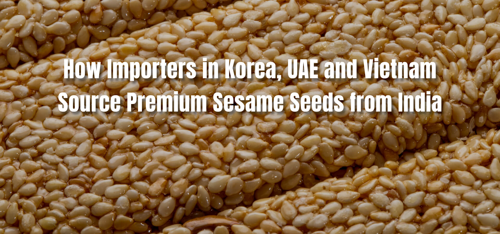 How Importers in Korea, UAE and Vietnam Source Premium Sesame Seeds from India