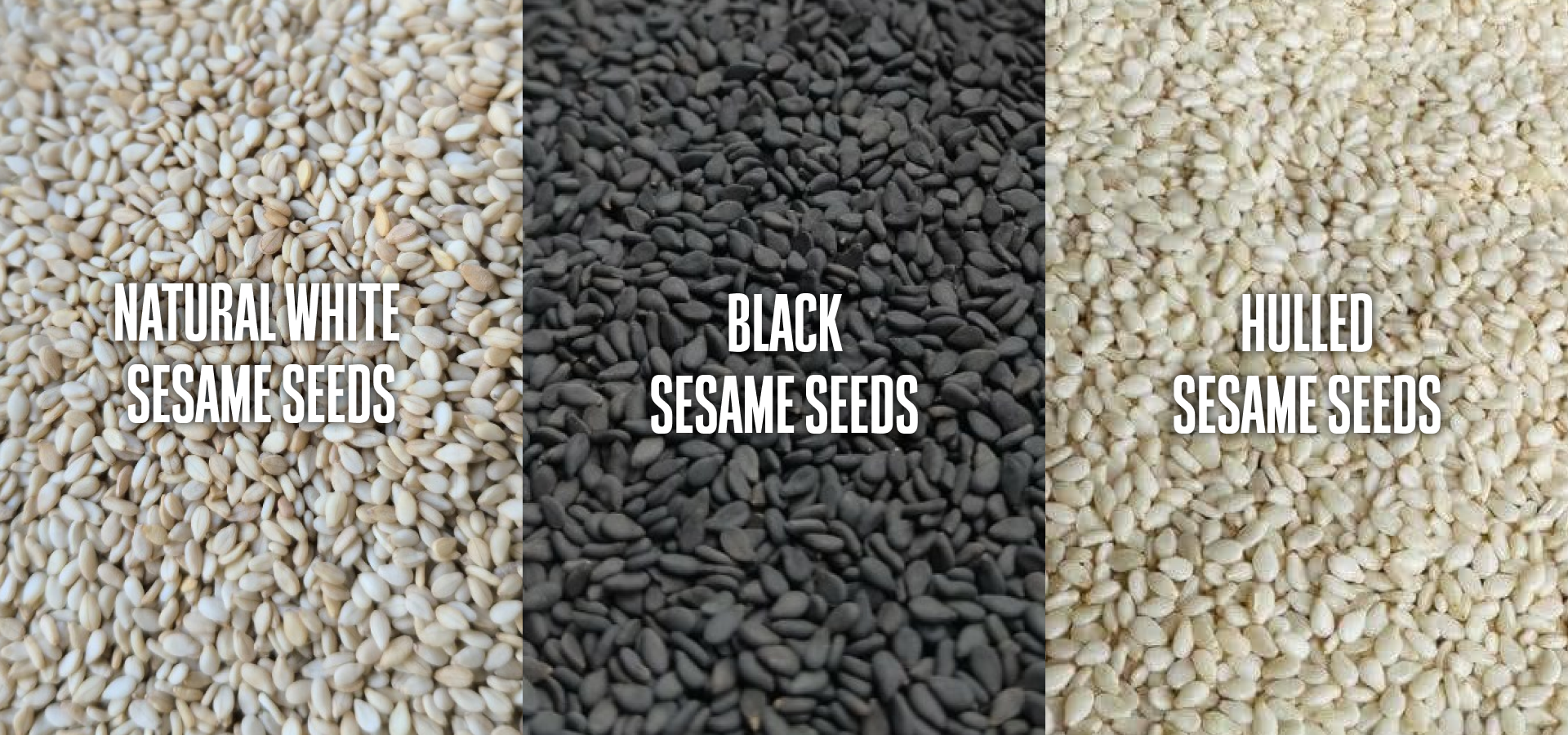 sesame seeds exporters India bulk supply