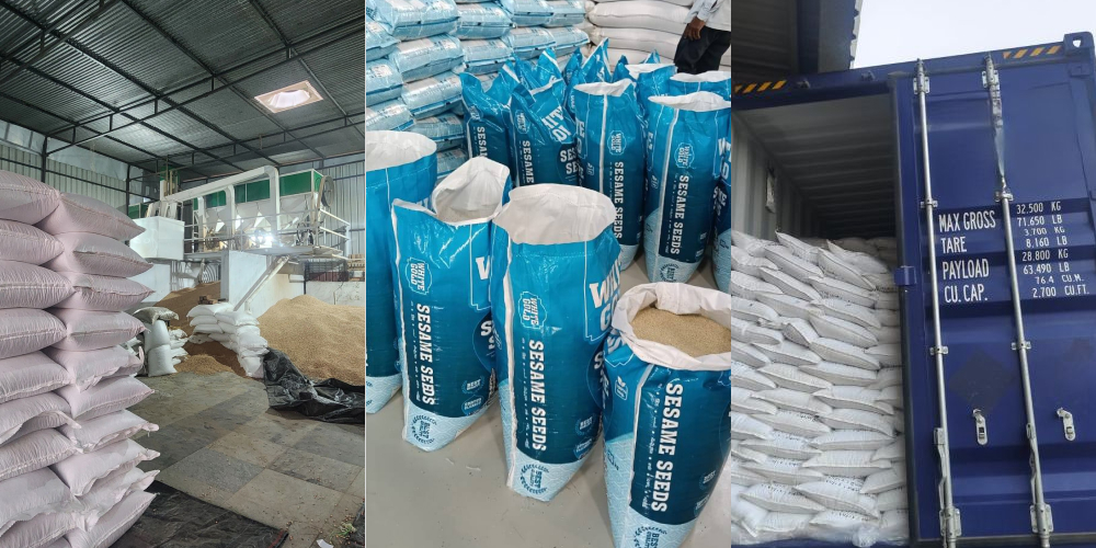 sesame seeds exporters India bulk supply - Packing